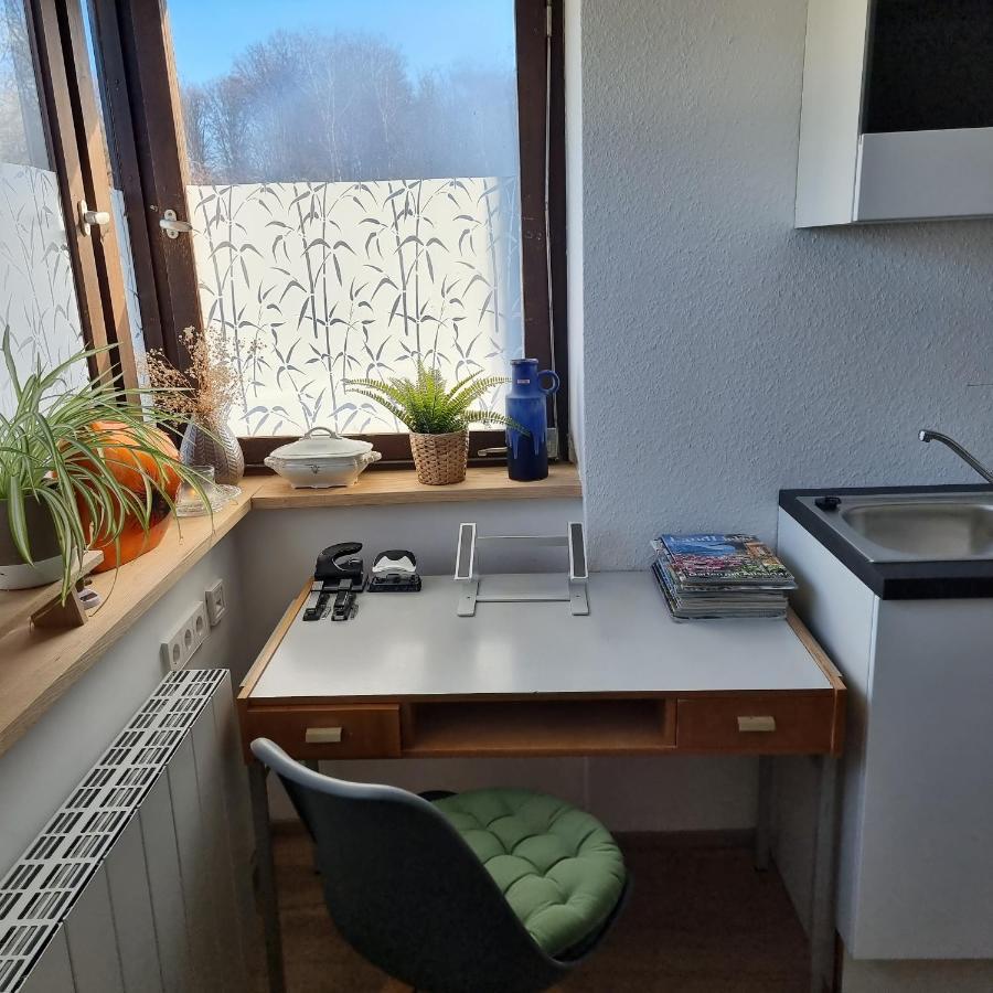 Exklusive Ferienwohnung Hattorfer Teiche Wolfsburg Luaran gambar